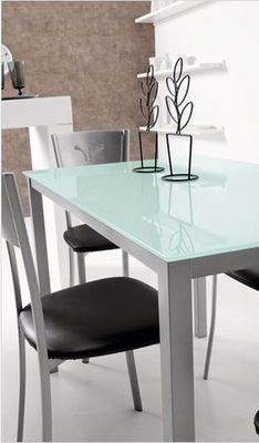 1100mm Length Customizable Glass Top Dining Table With Iron Legs DT-914F